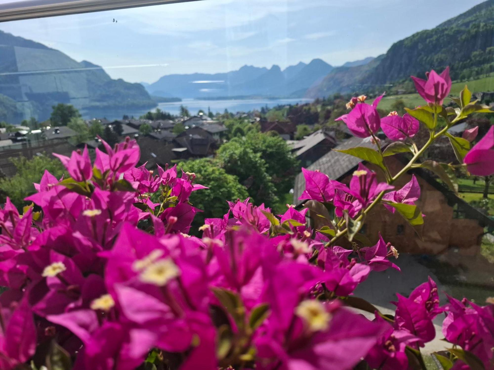Traum Blick Sankt Gilgen Apartment Екстериор снимка